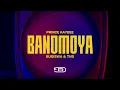 Prince Kaybee - Banomoya (Lyric Video)
