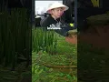 Download Lagu Asian Dad uses Invisibility on Fortnite (Bik Wong)