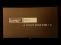 ScreenPix ScreenPix Westerns Opening to A Dog s Best Friend 1959 Feb 3 2023