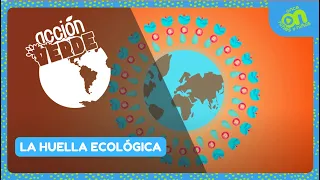 La huella ecológica - Día Mundial de la #EducaciónAmbiental