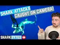 Shark Scientist Reacts to SHARK ATTACK s