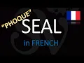 How do you say seal PHOQUE in French Siri Tik Tok Meme Explained