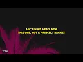 Two Princes - Spin Doctors (Lyrics)