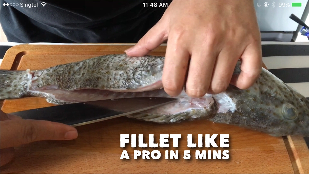 Secret Revealed! Pros do this to Debone a Fish in 5 mins! How to Easily Fillet a Fish?