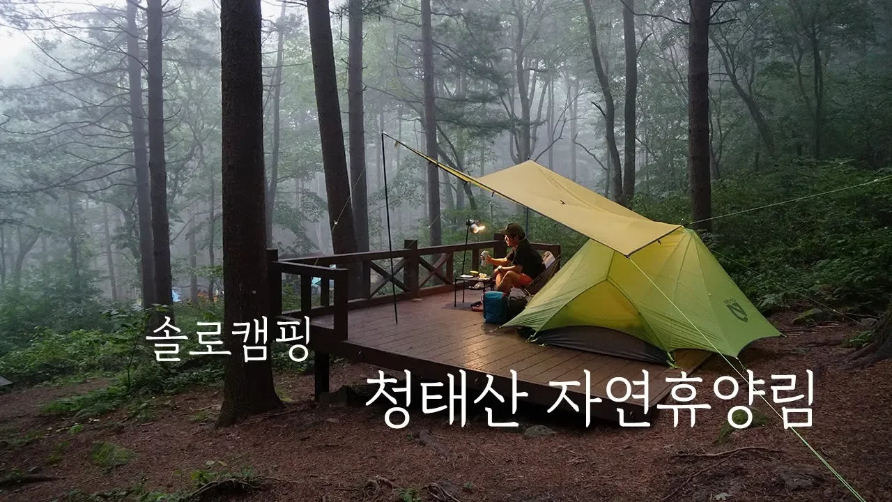 솔로캠핑 | 청태산자연휴양림 | 혼자 조용하게 지낼수 있는 최고의 힐링 캠핑장입니다 | ASMR | Camping 썸네일