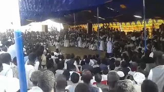 الفنان البجاوي محمد اونور 