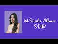Olivia Rodrigo - hope ur ok lyrics ​[indo sub]