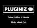 Using CPT UI Extended to display a single post