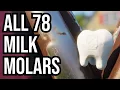 Grounded ALL 78 Milk Molar Locations Pre NG