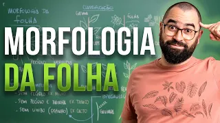 Morfologia da Folha - Aula 17 - Módulo 5: Botânica