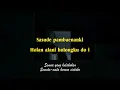 Download Lagu Aldo Simamora - Na Mabiar Do Au ( Lirik dan Artinya )