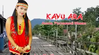 Download Lagu dayak kanayant KAYU ARA #lagudayak #kayuara #lagudayakhits MP3