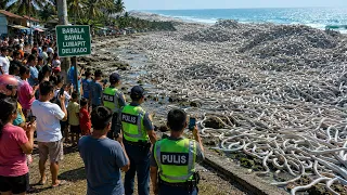 MGA PHENOMENON SA MUNDO NA TOTOONG NANGYARI!