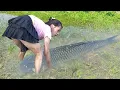 Download Lagu Harvesting Fish with Ancient Methods: Catching Giant Grass Carp by Bare Hand in Shallow Water | LISA