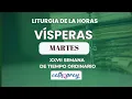 Download Lagu VÍSPERAS DE HOY. MARTES 7 DE OCTUBRE 2025 I XXVII SEMANA DE TIEMPO ORDINARIO   #cathopray