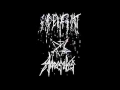 Download Lagu Aiqehahirit -  Accersitus split