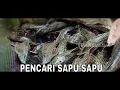 Lagu Pencari Sapu Sapu | SECRET STORY (16/01/25)
