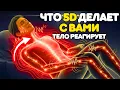 Lagu Что 5-Е ИЗМЕРЕНИЕ делает с вашей НЕРВНОЙ СИСТЕМОЙ (СИМПТОМЫ, О КОТОРЫХ НИКТО НЕ ГОВОРИТ)