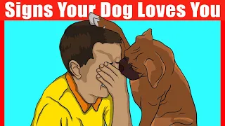 35 Signs Your Dog Loves You