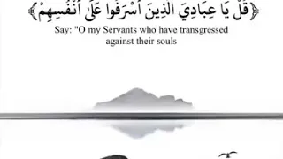 حالات واتس اب مؤثر الشيخ ناصر القطامي 