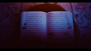 ولا تحسبن  الذين قتلوا في سبيل الله أمواتا   المنشاوي   رحمه الله   دندنها