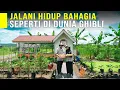 Lagu Pasutri Ubah Semak Belukar Jadi Kebun Indah Bisa Swasembada Pangan dan Menjalani Hidup Ala Ghibli