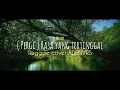 Download Lagu (Pergi) Rasa ini yang tertinggal - No Exit REGGAE COVER ADENVRS