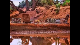 شيلة يوم زان الربيع اداء خالد الشليه 