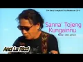 Download Lagu Anci Laricci \