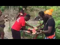Download Lagu Rasta Culture Harvest Water Melon 🍉 Dedicated To Johnathan