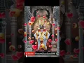 Download Lagu #vitthalrukmin #whatsapp #youtube #pandharpur #pandharpurdarshan #vitthal #status#reels#shorts#short