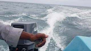                    دندنها