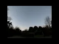 Dawn chorus March 25