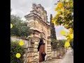 Mimose - Parra for Cuva