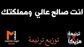 توزيع  وكلمات انت صالح عالي ومملكتك موسيقي دندنها