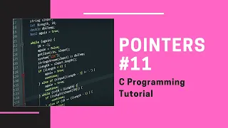 C Pointers Exercise 11 A function returning a pointer C Programming