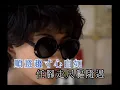 葉振棠丨忘盡心中情MV丨葉振棠經典電視劇主題曲 Karaoke DVD
