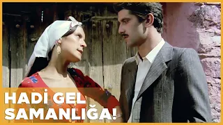 Tutku Türk Filmi | Şerif Ali'ye Samanlık Teklifi!