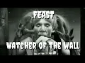.Feast - Watcher of the wall ft. Oscar lolang (Video Lyrics Unofficial)