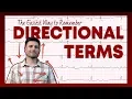 The Easiest Way to Learn Directional Terms - Anatomy Basics Corporis