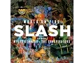 Download Lagu Slash 2014 World on Fire full album (HQ)