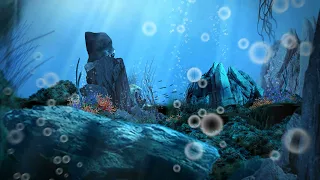 Download Underwater World Background Video Animation |  Motion Background Loop | No Copyright MP3