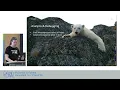 Rediscovering single-node processing When does it make sense to move from Spark to Polars