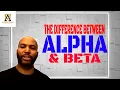 The Differences Between An Alpha Male And A Beta Male