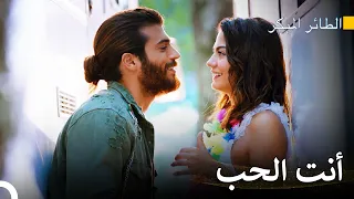 لقد ظل قلبي يبحث عنك كل هذه السنوات سلسل الطائر المبكر 