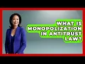 What Is Monopolization In Antitrust Law - Law School Prep Hub
