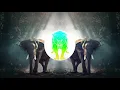 Stunna 4 Vegas & Da Baby - Animal (BassBoosted)