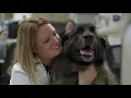 Why VCA Pet CancerCare