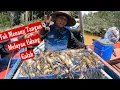 Download Lagu TERJUMPA LUBUK PENUH UDANG | MANCING UDANG GALAH #mancingudang #prawnfishing