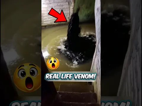 Real Life VENOM!🕷😨